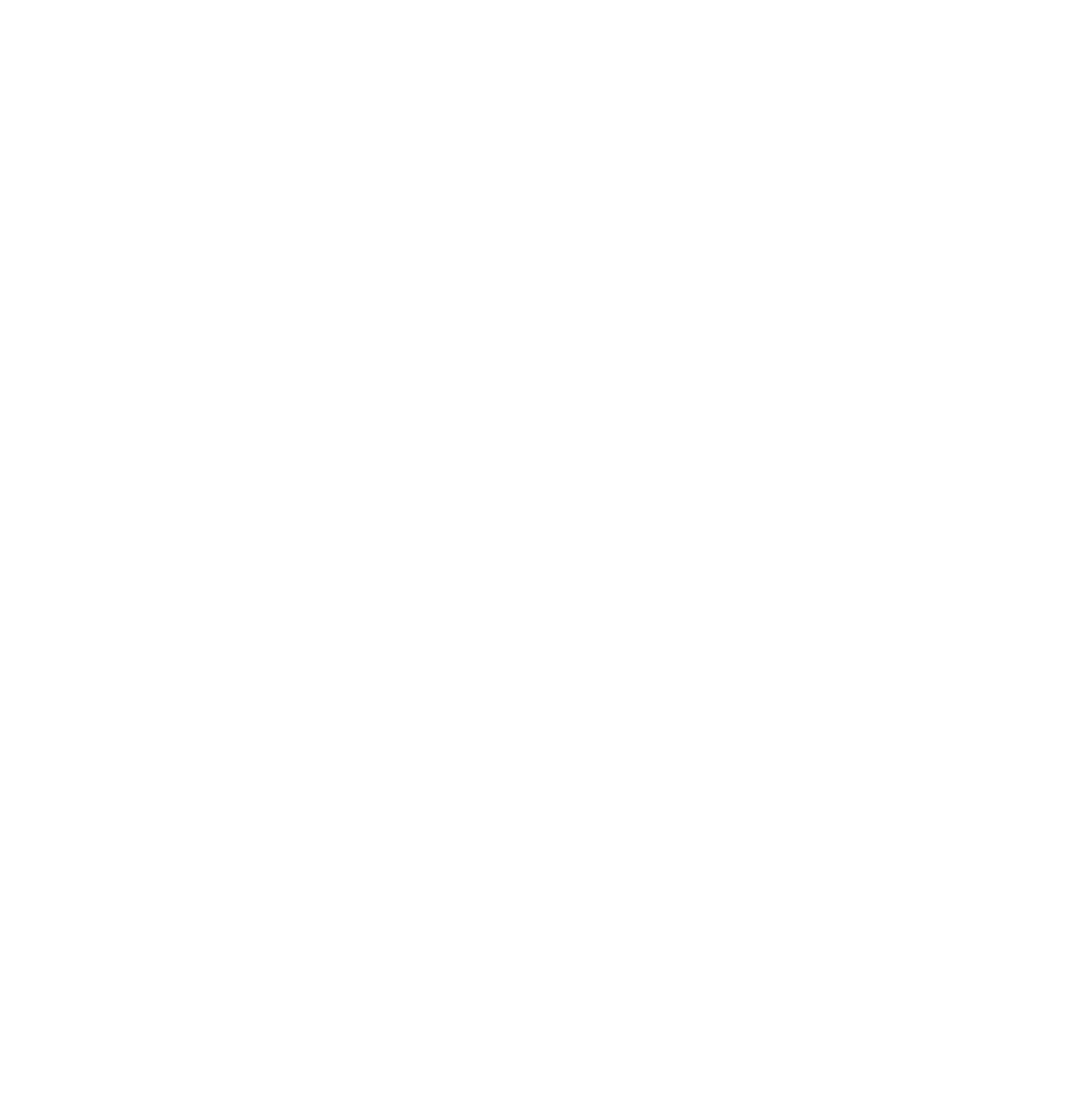 RIESEN TECH SOLUTION